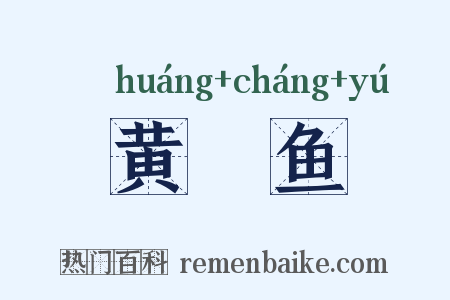 黄鲿鱼是什么意思的图片